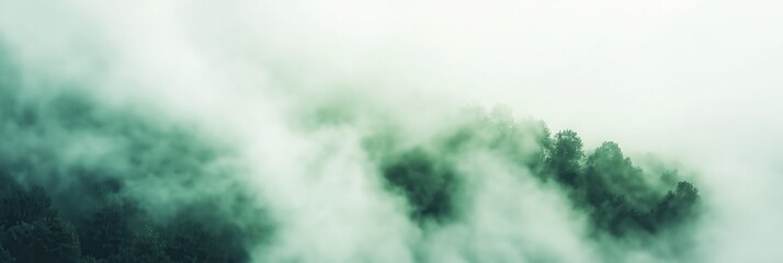 Obraz premium a foggy landscape showcasing a beautiful forest amidst the mist. The image captures a serene and mystical atmosphere