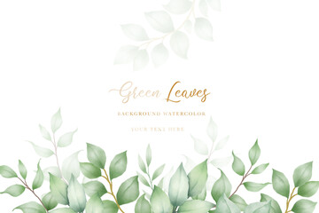 beautiful  background green leaves watercolor