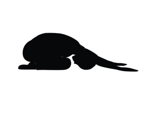 Silhouettes of woman doing exercise fitness gym meditation yoga poses stretch exercise. Flat vector illustration isolated on white background