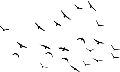 飛ぶ鳥の群れのシルエットベクターイラスト
