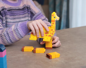 Girl plays with constructor at home on table. African animals. Children and educational games.