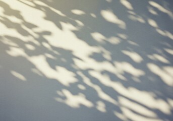 柔らかな日差しが織りなす木漏れ日の影 優しい灰色背景