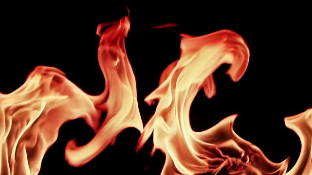 Close-up video of dancing flames against a black background, capturing the dynamic and fluid motion of fire from a low-angle perspective. Live desktop wallpaper.
