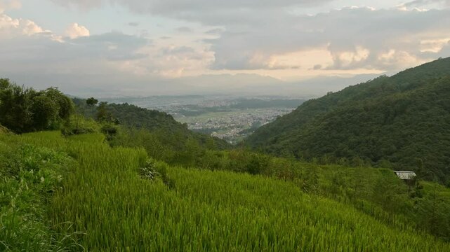 Pady Fields and Kathmandu City Sunset, Rural Landscape Scenery in Nepal with Rice Fields Paddies and Paddy Fields Terraces in a Rural Village in Kathmandu Valley with the City Behind