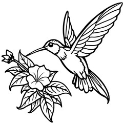 A beautifully detailed black-and-white line art illustration of a hummingbird in mid-flight