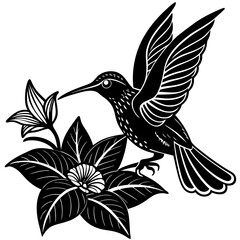 Obraz premium A beautifully detailed black-and-white line art illustration of a hummingbird in mid-flight