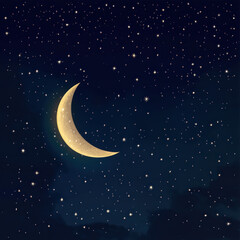 Fototapeta premium starry night sky