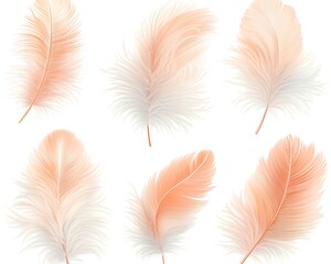 Obraz premium Soft Feathers, Elegant Design