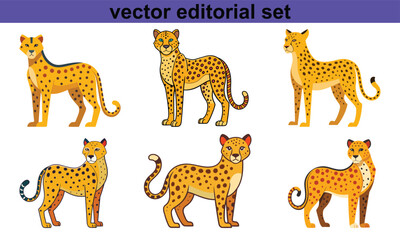 Cheetah Vector Editorial Set, A sleek set of cheetah illustrations in vector format, ideal for creative and editorial design projects.
