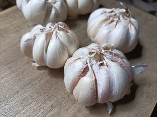 Group of fresh organic garlic bulbs on wooden cutting board.