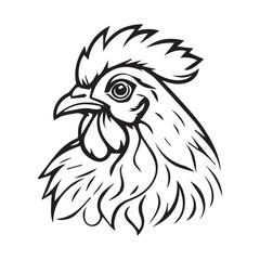 rooster isolated on white background