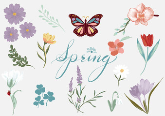flowers and butterflies illustration as art decoration