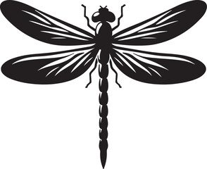 black and white dragonfly