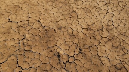 乾燥してひび割れた大地