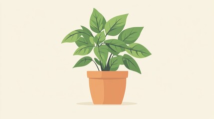 Fototapeta premium Gardening and plants. Green Potted Plant with Terracotta Pot on Beige Background