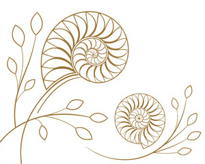 Obraz premium Elegant Minimalist Floral Line Art Illustration with Two Flower Heads