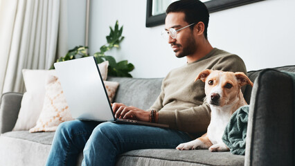 Reading, dog and laptop with man on sofa for streaming, social media and relax. typing, networking...