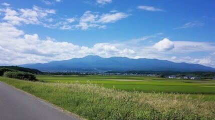 Fototapeta premium Vast Green Fields Leading to Distant Mountains Under a Crystal Clear Sky