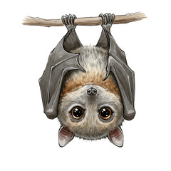 Curious Bat: A charming illustration of a bat hanging upside down from a branch, its large, expressive eyes and soft fur create a captivating and endearing presence. 