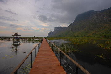 Naklejka premium Lotus lake in Thung Sam Roi Yot is part of Khao Sam Roi Yot National Park and is a wetland area with a wide, naturally occurring lowland with water all year round. It is located in Pran Buri District,
