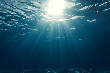 Fototapeta premium Sunlight filtering through the ocean surface, illuminating the underwater scene with rays