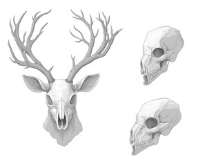 Deer Skull with Alien Skull, and Illustration.