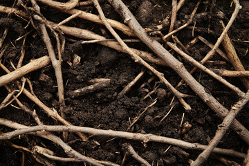 Fototapeta premium Detailed image showcasing the intricate texture of fertile soil intertwined with dry twigs