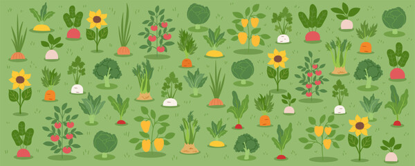 Gardening and spring concept banner. Green background with different plants and vegetables. Regenerative farming concept. Vector flat illustration.