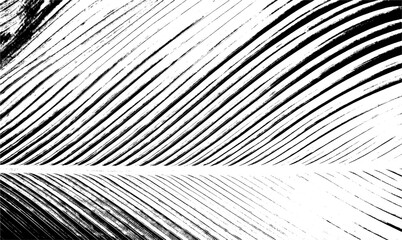 black and white striped background