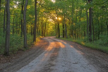 Naklejka premium Winding dirt path through a lush forest at sunset with warm sunlight filtering through the trees