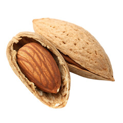 Raw Almond with Shell PNG