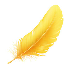 Fototapeta premium Golden Feather Design Elegant, Light, and Airy Illustration