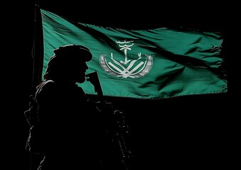 Soldier, Flag, Night, Military