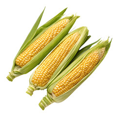 Obraz premium sweetcorn isolated on transparent background generative ai
