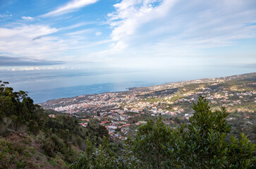 Obraz premium Town Icod de los Vinos, Island Tenerife, Canary Islands, Spain, Europe.
