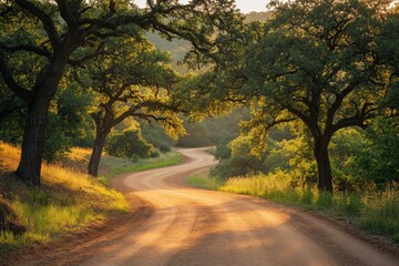 Obraz premium Scenic winding dirt road surrounded by lush green trees in the golden light of sunset