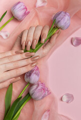 Woman hand with stylish nude manicure holding purple tulips on pink background