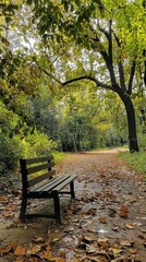 Cozy Bench in Leafy Park Under Dense Canopy of Trees