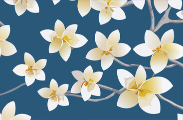 Frangipani flowers background.