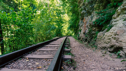 Obraz premium railway in jungle forest in thailand without people