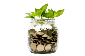 plant in a glass jar full of coins isolated on transparent background