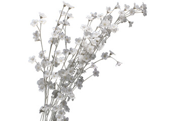 bunch of dried flowers isolated on transparent background