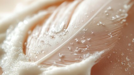 Close-up of white feather with dew drops on soft surface