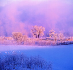 日の出の彩と川霧（帯広市）