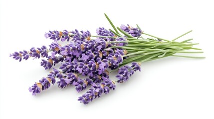 Fresh Lavender Bouquet on White Background Ideal for Aromatherapy and Natural Decor Use