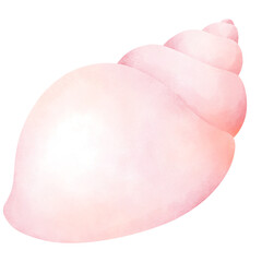 Watercolor Illustration of a Seashell