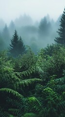 Lush Greenery in Serene Early Morning Mist Over Forest Landscape