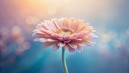 Minimalist Flower Design Background: Elegant Floral Pattern for Branding & Decor