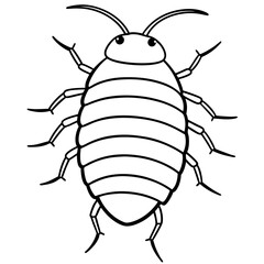 vector illustration of a black beetle