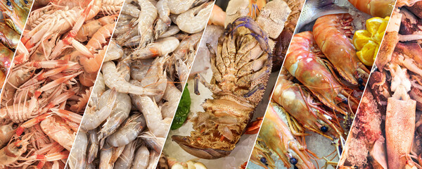 Seafood Dish Collage with Fish, Shrimp, Lobsters, and Squid